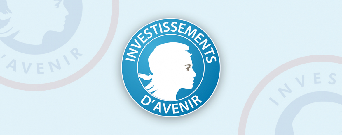 Visuel avec le logo Investissement avenir Visuel avec le logo Investissement avenir